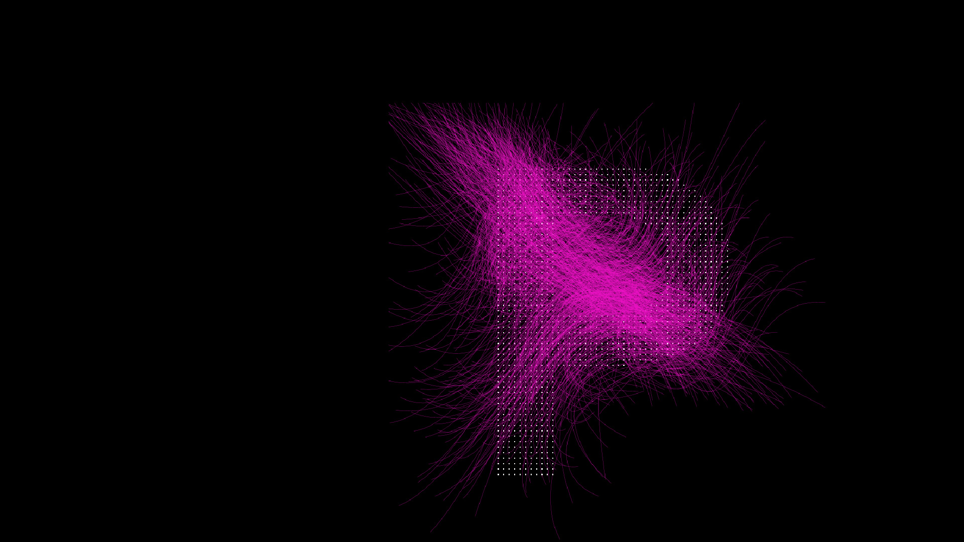 Creative Coding hero image with generative typography